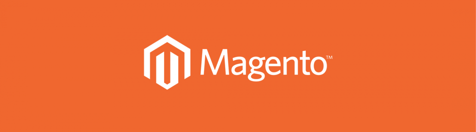 Magento online store development